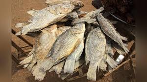 Koobi (Salted Tilapia)