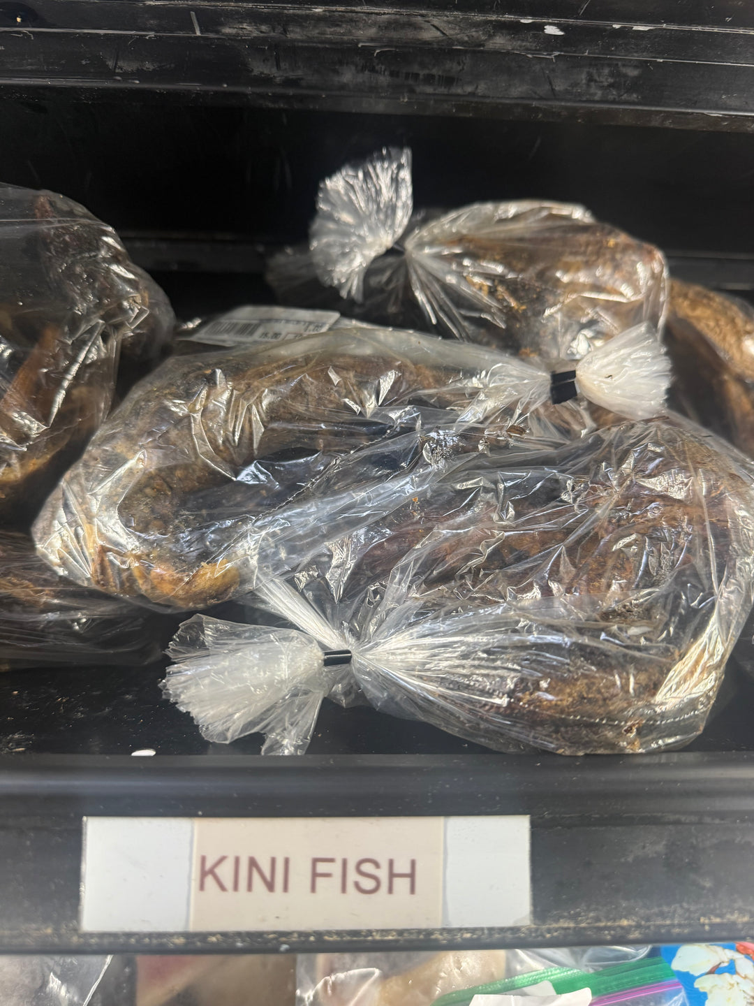 Kini Fish