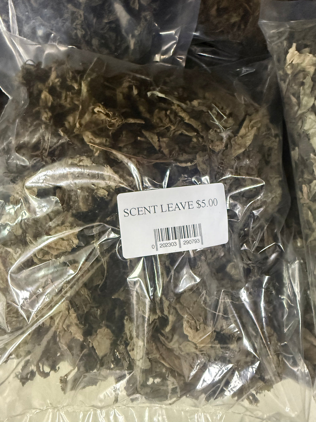 Scent Leaves