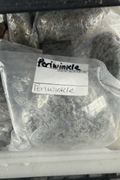 Periwinkle