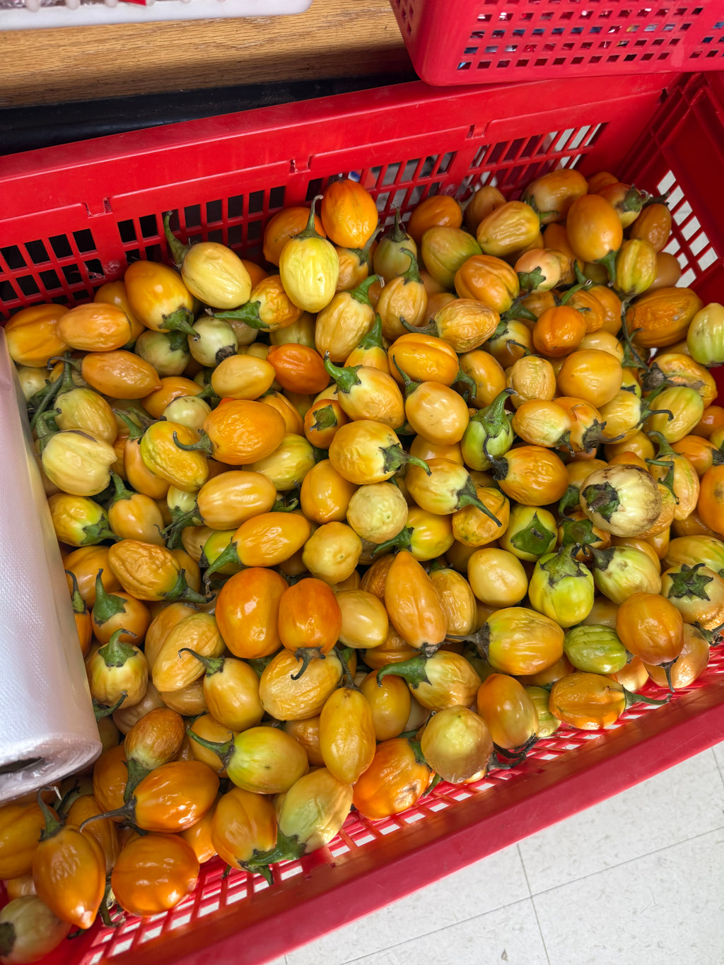 Garden Eggs (African Eggplant)