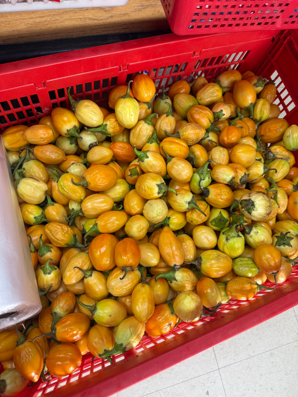 Garden Eggs (African Eggplant)