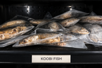 Koobi (Salted & Fermented Fish)