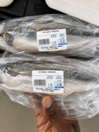 Fresh Mackerel – Whole Fish