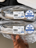 Fresh Mackerel – Whole Fish