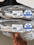 Fresh Mackerel – Whole Fish