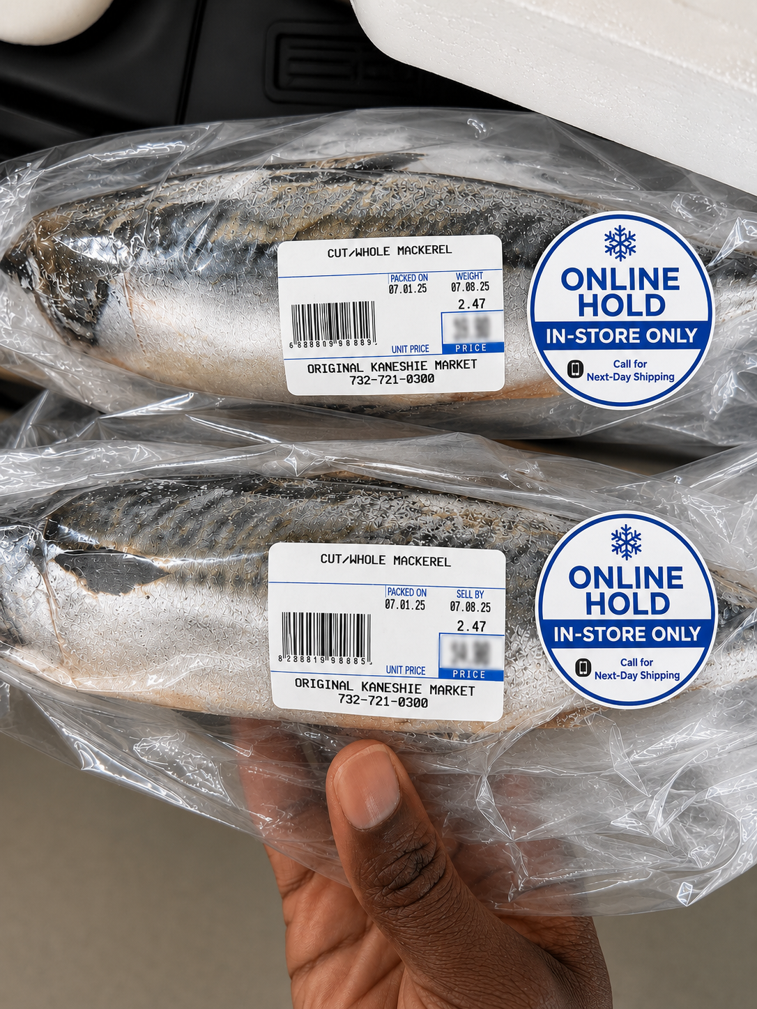 Fresh Mackerel – Whole Fish