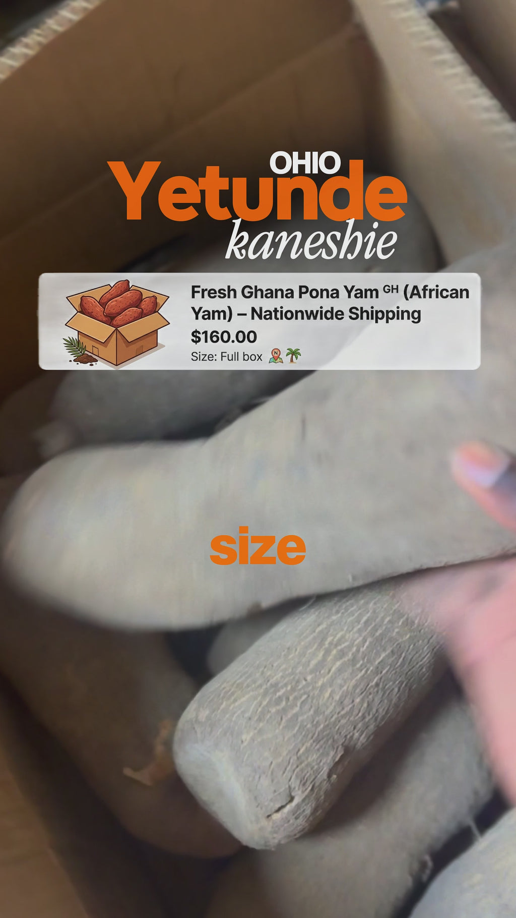 Fresh Ghana Pona Yam 🇬🇭 (African Yam) – Nationwide Shipping