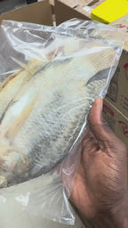 Koobi (Salted & Fermented Fish)