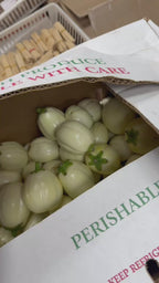 Garden Eggs (African Eggplant)