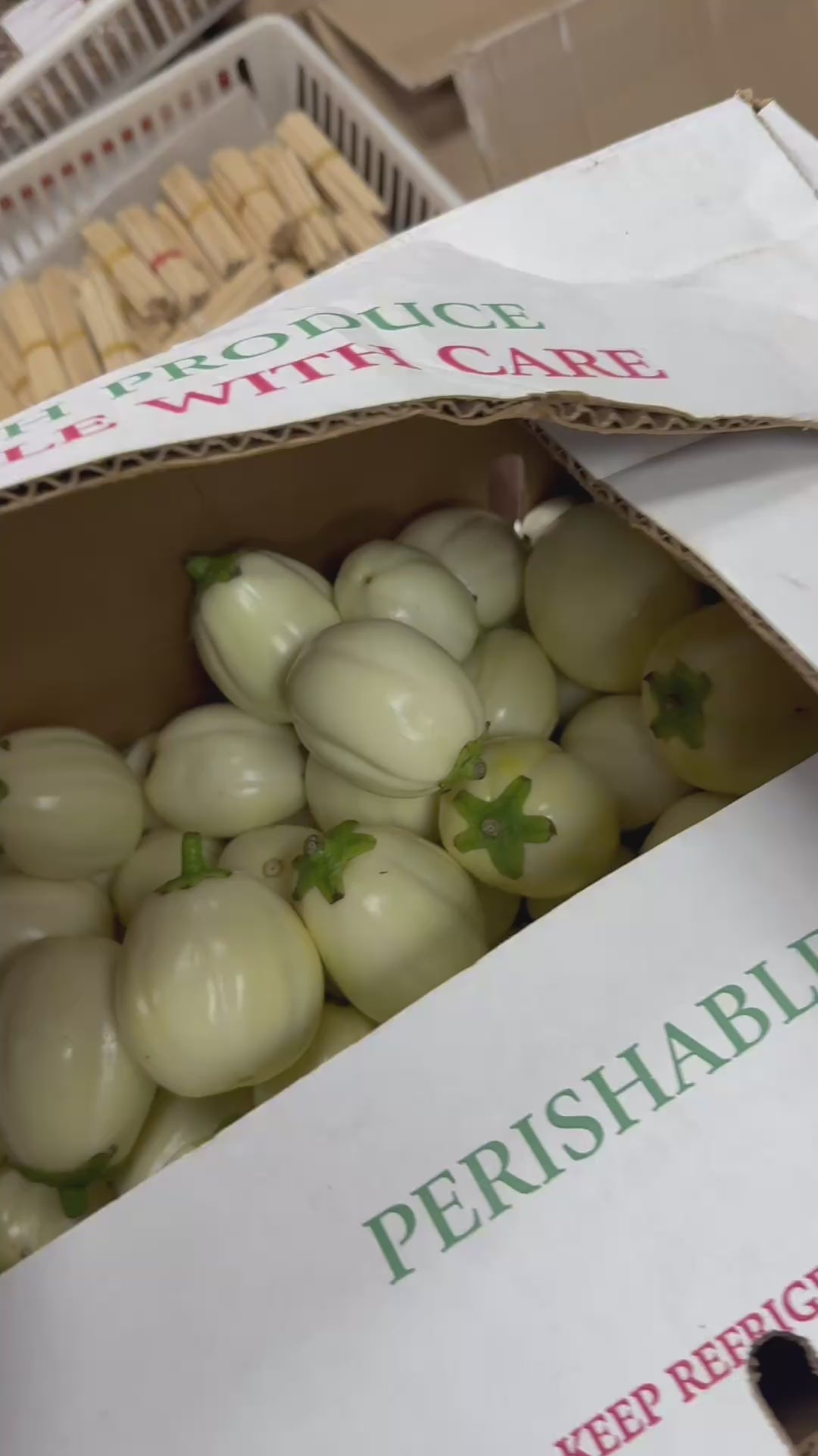 Garden Eggs (African Eggplant)