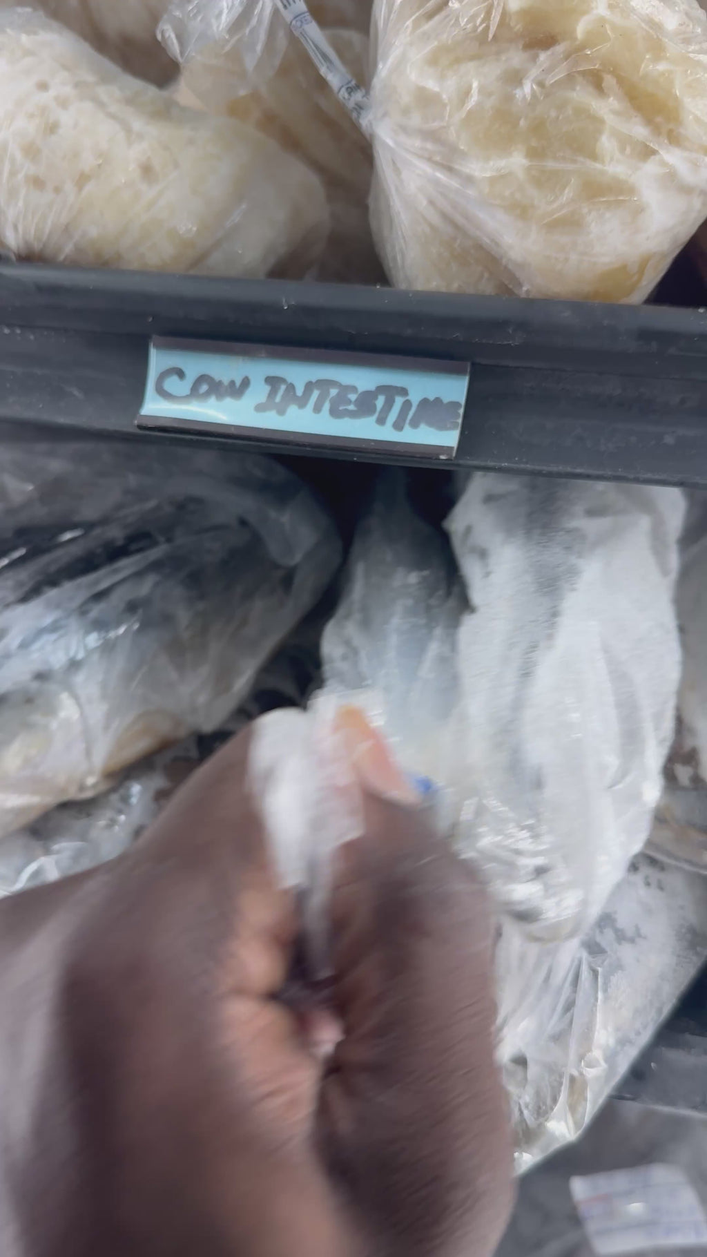 Fresh Mackerel – Whole Fish
