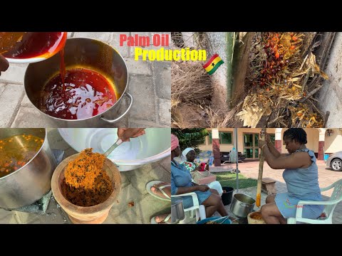 Zomi Ghana Fresh Red Palm Oil